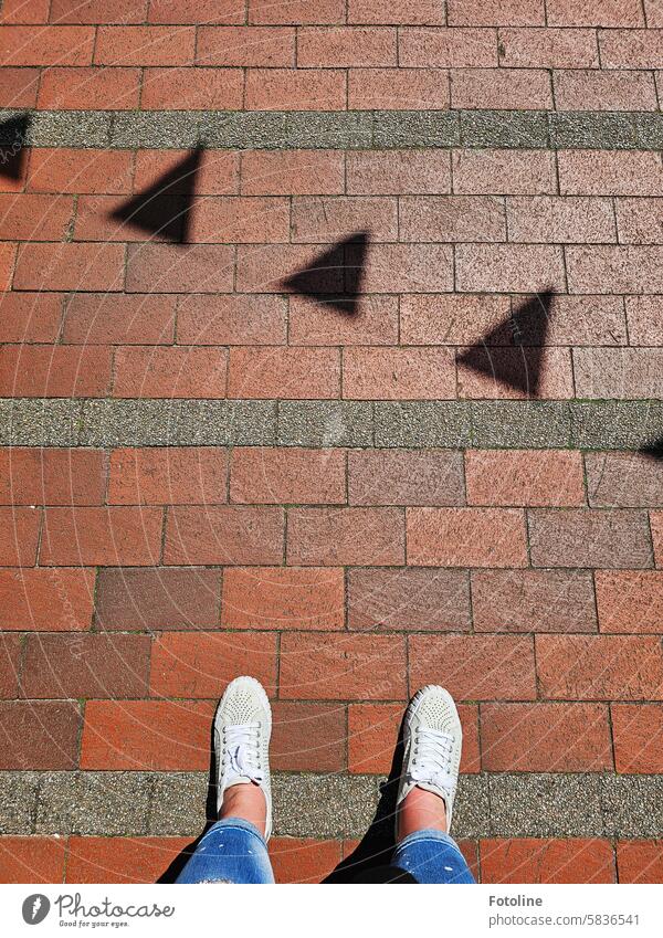 Pennants cast their shadows on the path in front of me. Shadow Light Bright Sunlight off Footpath feet Legs jeans Jeans Skin Footwear Blue Brown Black