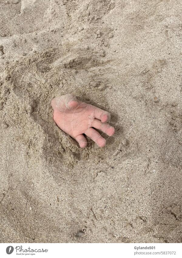 Hand in the sand Sand Beach Fingers Summer coast Human being Vacation & Travel Close-up 1 Summer vacation Exterior shot Day Ocean Relaxation Beautiful weather