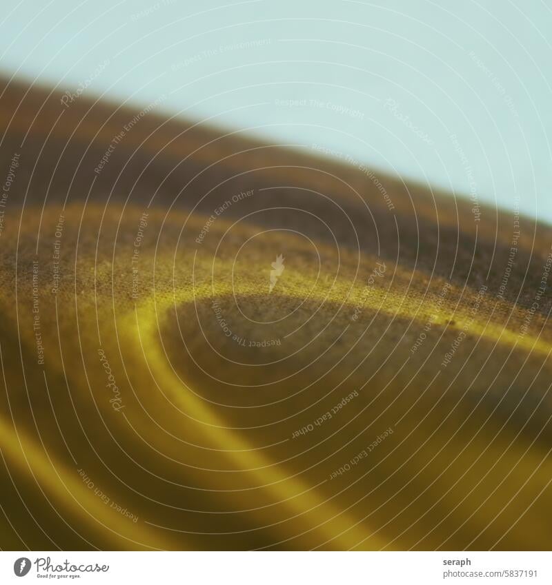 |BYEPC| seraph|#3095 ID#3095 structure texture Abstract background Spiral circles whorls Saturn Rings Yellow Gold golden Concentric Rotated Circle Circular