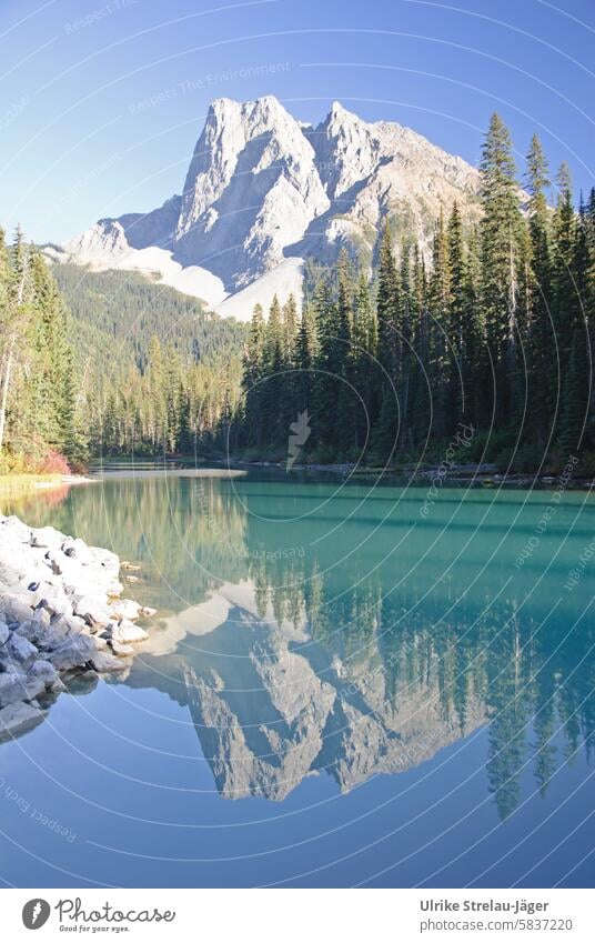 Canada | Emerald Lake mirrored mountain lake mountains Vacation & Travel Lakeside Mountain Landscape Relaxation Reflection naturally Rocky Mountains