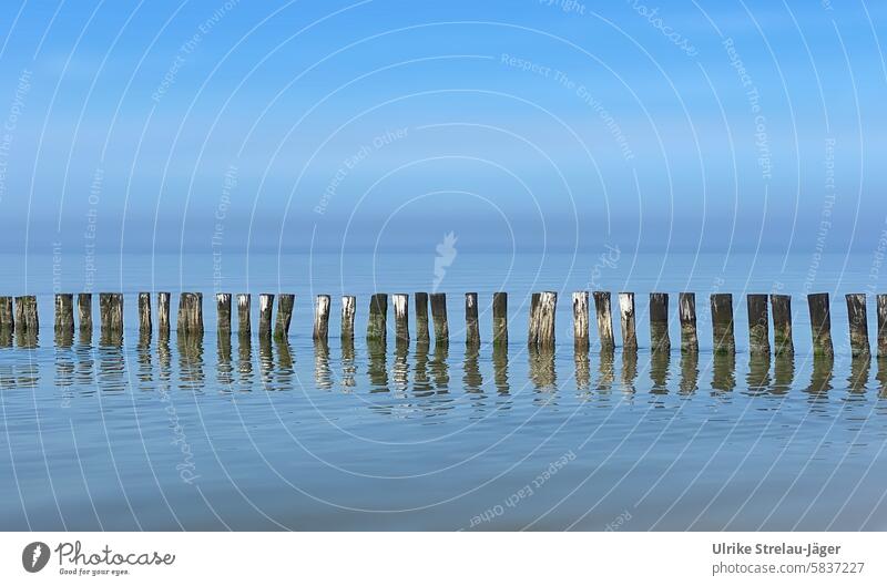 North Sea | Wooden piles of a pier at high tide peaceful atmosphere salt water in the water wooden posts Horizon Clouds Beach Mole Sky Blue sky Ocean coast