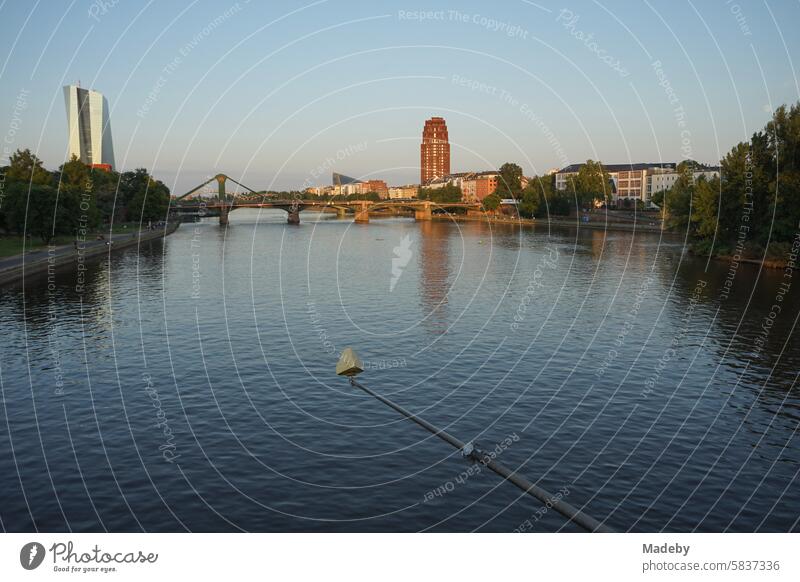 Magnificent panorama with Ignatz Bubis Bridge, Main Plaza and Deutschherrnufer in Sachsenhausen with the ECB European Central Bank in the background in the light of the evening sun in Frankfurt am Main in Hesse