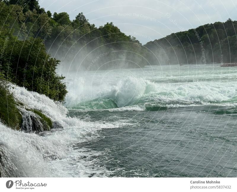 The force of the water at the Rhine Falls Rhein falls Neuhausen am Rheinfall Water Exterior shot Colour photo Waterfall Nature Deserted River Elements
