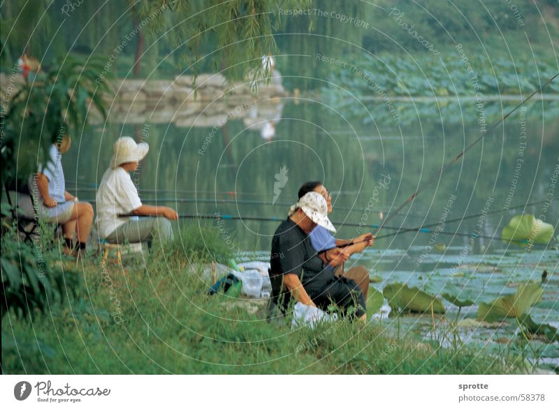 Chinese anglers in Beijing Summer Palace - a Royalty Free Stock