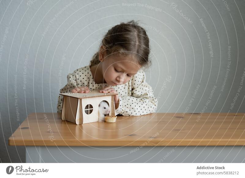 Little girl admiring her pet hamster at home child curiosity interaction wooden house table gentle observing animal care innocence playful indoor domestic