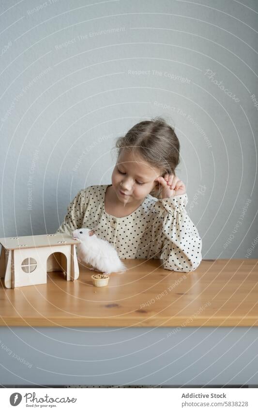 Young girl admiring her pet hamster at home play wooden table miniature house food bowl smiling admiration gentle animal white domestic child cute care