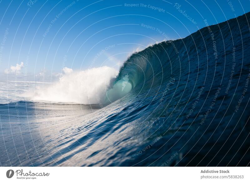 Majestic wave at Teahupoo, French Polynesia teahupoo french polynesia surfing majestic towering clear blue sky breathtaking ocean sea challenge watersport