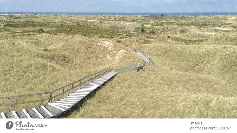 amrum Amrum Target Vacation & Travel Lanes & trails walkway Nature reserve dunes Woodway Landscape Relaxation Climate Idyll coast Environment duene Sky