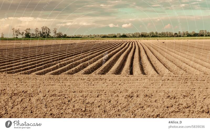 Environment and Agriculture in NRW Germany agriculture architecture brown change chimney climate clouds cloudy co2 coal-fired cole cooling cornfield electricity