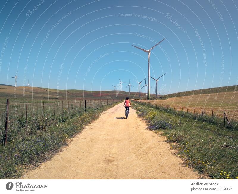 Unrecognizable cyclist on rural path with wind turbines in Cadiz blue sky cadiz man countryside dusty travel energy renewable landscape sunny outdoor nature