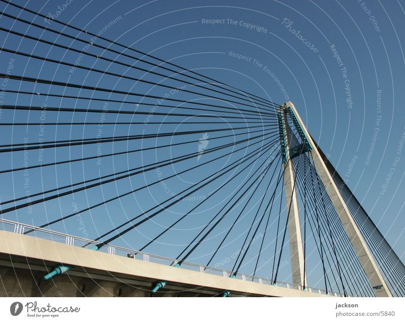 steel-cable bridge Transport Bridge Danube Tulln Wire cable