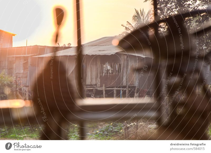 Light play in the morning Vacation & Travel Summer Sun House (Residential Structure) Environment Sky Beautiful weather Battambang Cambodia Asia Village