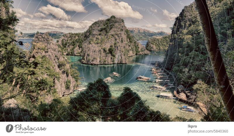 view from a cliff of the beautiful paradise bay coron lake kayangan philippines island palawan lagoon tropical background nature blue landscape summer sky