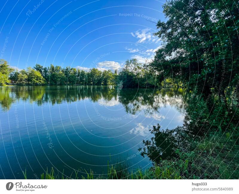 Reflection in the lake Nature Lake reflection Idyll Tree trees bank silent Water Lakeside Surface of water Calm Landscape tranquillity Peaceful Forest