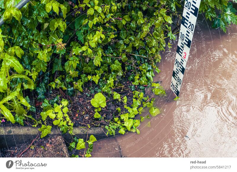 Water level at high water at stairs, brown river water with circles of raindrops water level measuring rod Flood Storm River level Rain Navigation