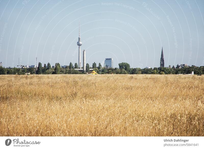 Alex on the horizon with a dry meadow in the foreground summer in berlin alex tempelhofer field Summer Berlin Landscape panorama Freedom