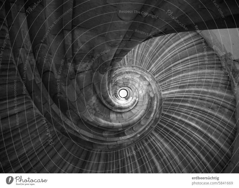 Enigmatic snail - spiral staircase in black and white Crumpet Stairs Winding staircase Wendelstein Stone stonemason Work of art Manmade structures Architecture
