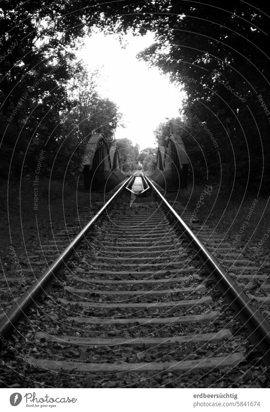 Journey into the unknown - Old railroad tracks with bridge in central perspective and black and white shot Train services Track Railway tracks Bridge