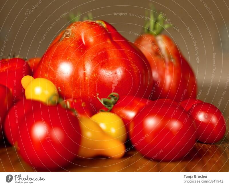 Small or large, red or yellow - all tomatoes Tomato varieties tomato harvest Dietary fiber more tomato Growth Solanaceae Fruity yellow tomatoes vegetarian fruit