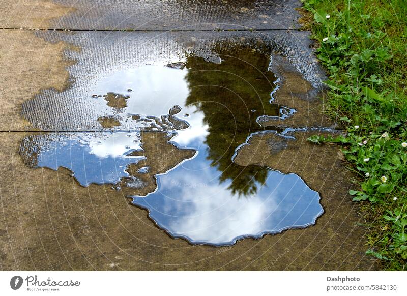 Water Puddle on a Garden Slabbed Footpath with Reflections water pool puddle spillage wet leakage reflections green brown blue wild flowers daisy daisies leaves