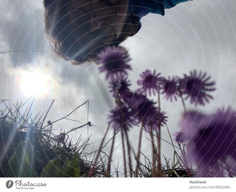 Flowers backlit with person flowers Alps alpine flowers stormy atmosphere purple violet mountains Face Top view Moody Meditation Sun Clouds Grass Eyeglasses