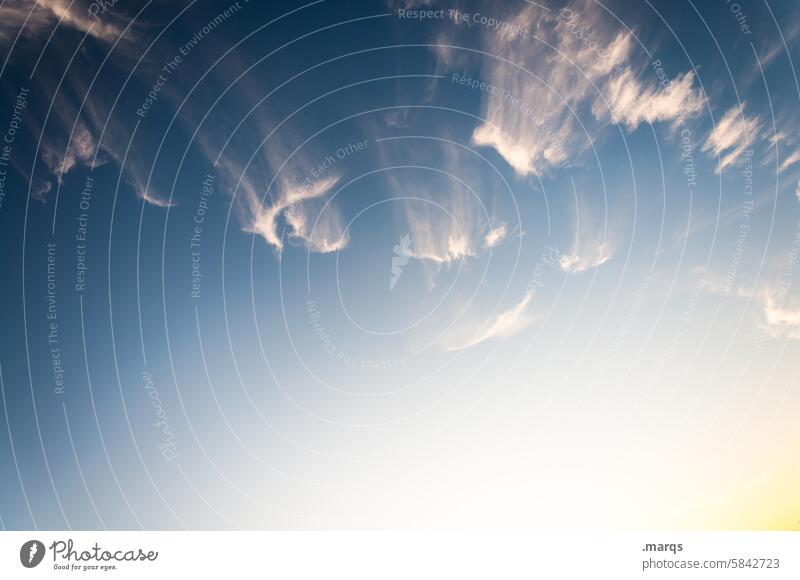 Cirrus in the evening Climate Beautiful weather Nature Clouds Sky Background picture Spring clouds Environment Elements Summer Weather Clouds in the sky Blue