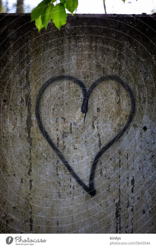 black heart on a concrete wall Heart Love In love Eros Display of affection Emotions Infatuation Symbols and metaphors With love Concrete wall Leaf Gray Green