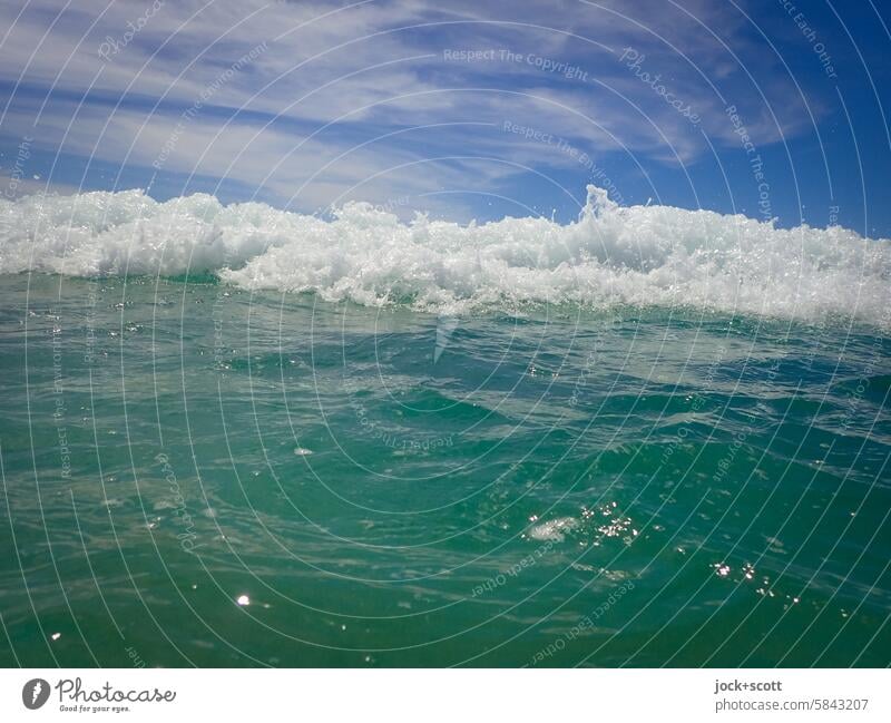 Das Rauschen der Welle wave White crest Wave action Elements Undulation Ocean Surface of water Crest of the wave Pacific Ocean Sea water Wavy line