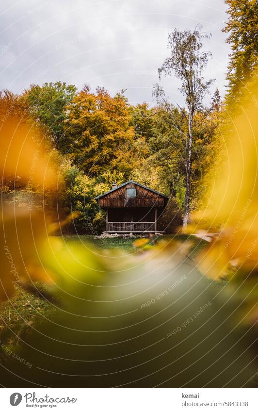 Hiking hut Hut Wooden hut Autumn Autumnal colours variegated Green Yellow Brown covert Lonely Rustic Wooden structure Sky out hiking hut