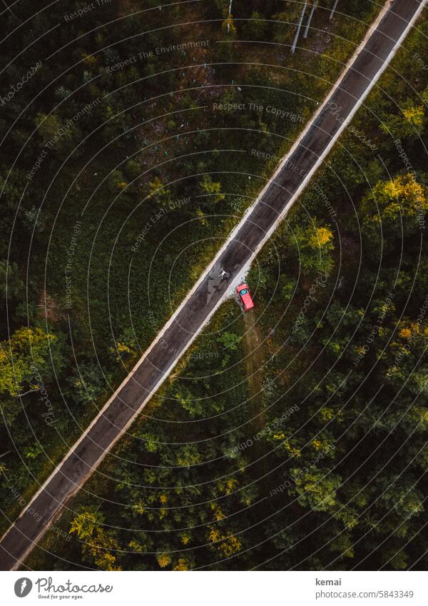 Road and car from above in wooded area Street Forest woodland forest path off Human being Lie Asphalt Green Autumn UAV view Bird's-eye view TopDown Wide angle
