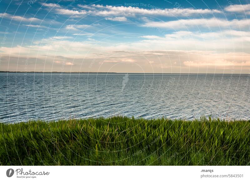 north sea coast North Sea Summer Relaxation Tourism Sky Amrum Maritime Environment North Sea coast Water Nature Mud flats North Frisland Landscape Ocean Plant