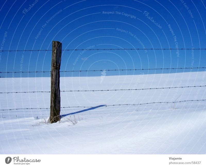 made out Winter Frozen Cold Barbed wire Column Fence Border Captured Horizon Sky Meadow Germany White Background picture Nature Calm icy Snow Pole pile stake