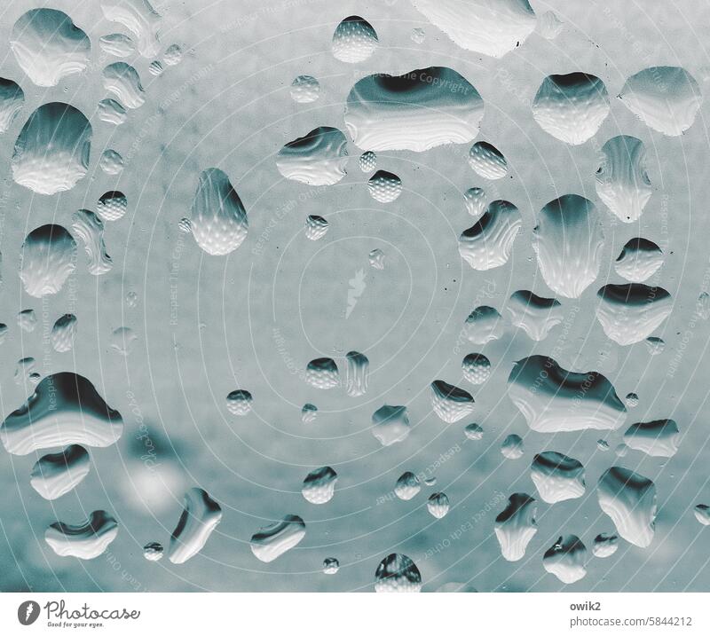 Bluish droplets Drops of water Window pane Transparent Gauze reflection Distorted Detail Wet Structures and shapes Copy Space Arrangement Close-up Deserted