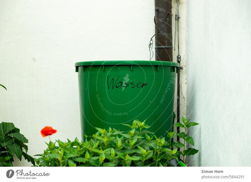 Rain barrel and gutter in a corner, surrounded by white walls Rainwater butt Eaves Water Water supply Cast Irrigation Garden Gardening Green ton Corner