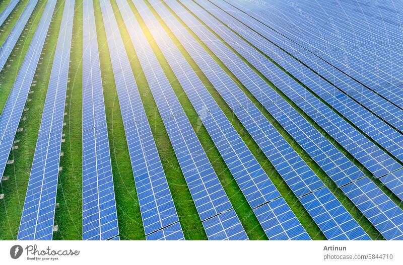 Solar farm and sun light. Solar power for green energy. Sustainable renewable energy. Photovoltaic power station or solar park. Solar panel installation and maintenance concept. Energy sustainability.