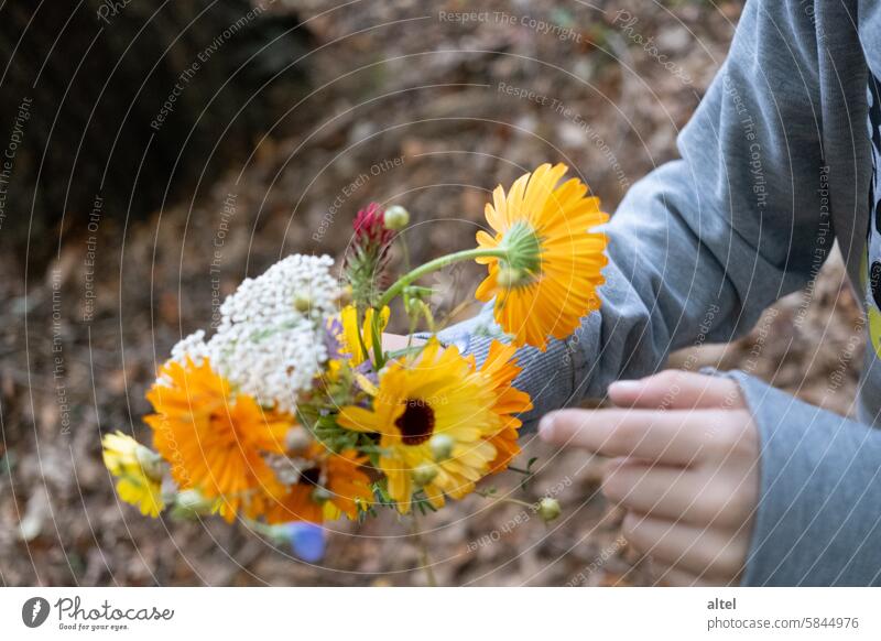 Say it through the flower Bouquet Flower Spring Summerflower Autumn Mother's Day Nature Forest To go for a walk Plant Blossoming Valentine's Day Decoration