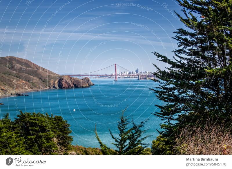 Scenic view over the San Francisco bay and the Golden Gate bridge california san francisco golden gate bridge city ocean tree day landmark usa summer famous