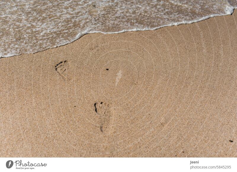 leave traces Summer Water Feet Wet footprints Freedom To go for a walk Barefoot Footprint Ocean Beach Tracks Card vacation Nature Going bank Waves Transience