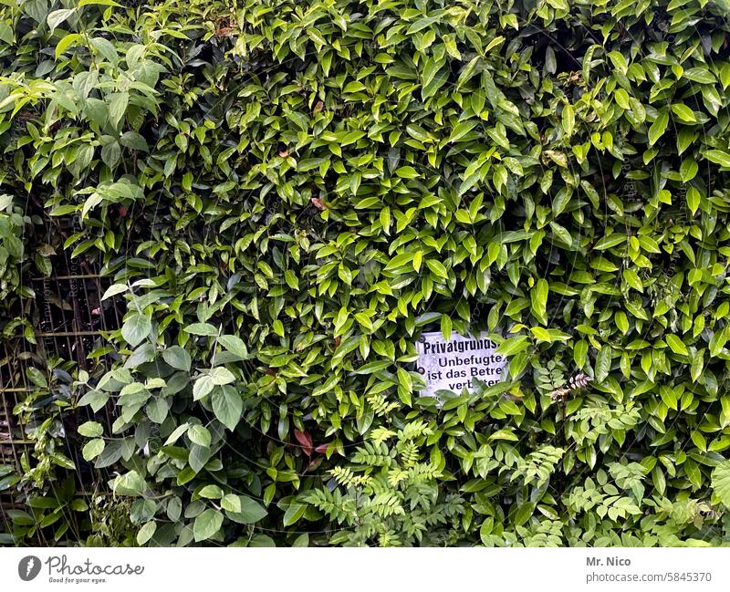 PRIVATE PROPERTY Hedge overgrown Fence Signs and labeling Signage Private sign Characters Warning sign Green private property Safety unauthorized No trespassing