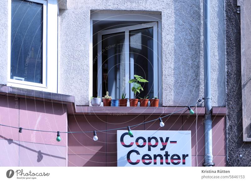 living and working at the copy-center copycenter Fairy lights Window windowsill plants flowerpots mini garden Flat (apartment) Business Life dwell labour urban