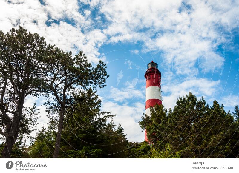 Lighthouse in fog Beautiful weather North Sea Nature Vacation & Travel Tree Bushes Clouds Amrum White Red North Frisian Islands Tourist Attraction Beacon Summer