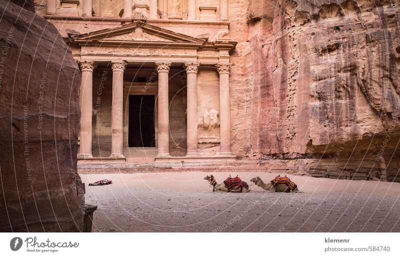 Petra, Jordan Beautiful Vacation & Travel Tourism Art Culture Rock Town Ruin Building Architecture Facade Stone Old Historic Yellow Pink Red Society camel