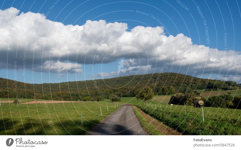 Country road between fields with blue sky path Sunny Copy Space landscape nature meadow background forests dirt road agriculture trees country way forward