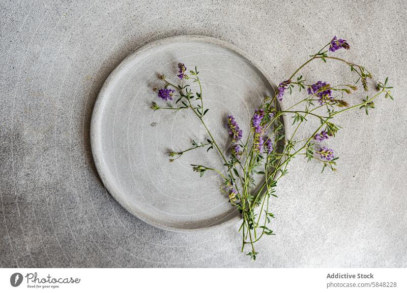 Minimalist summer table setting with wildflowers top view above minimalist ceramic plate purple flowers arrangement simplicity decor tabletop natural floral