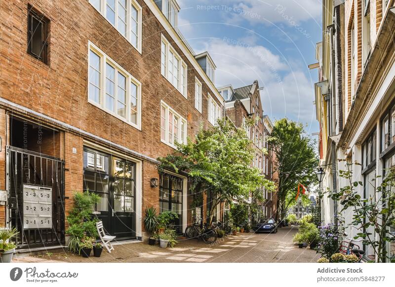 Charming Residential Street with Lush Greenery in Amsterdam street brick building greenery bicycle urban residential charming serene tranquility local culture