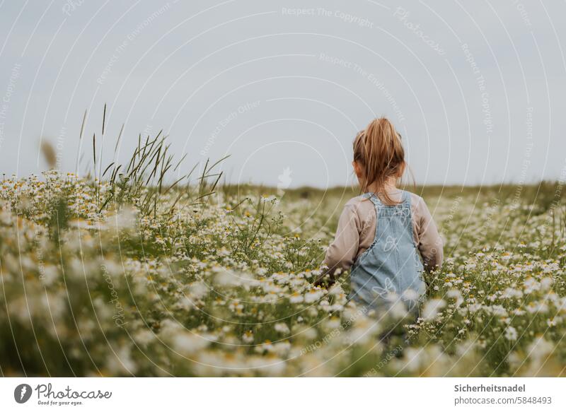 Toddler runs through a camomile field Girl Infancy Exterior shot Flower meadow Chamomile Flower field Nature Country life Love of nature Summer Joy Walking