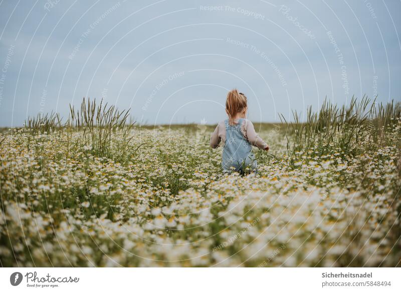 Child runs through the flower meadow Happy Infancy Girl Joy Exterior shot Nature Summer Playing Joie de vivre (Vitality) Children's game Flower meadow