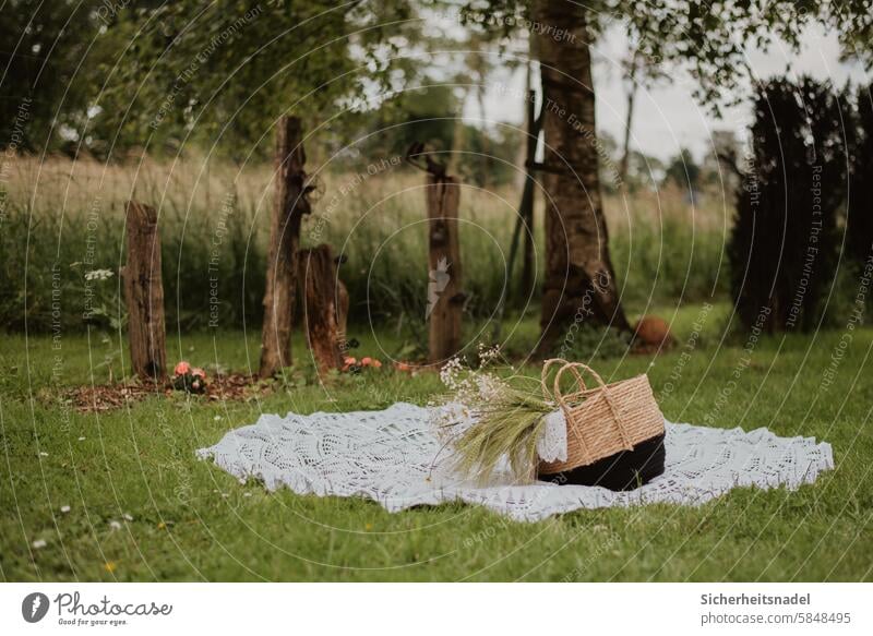 Picnic in the garden Deserted Exterior shot Summer Nature Green Grass Garden To enjoy Relaxation