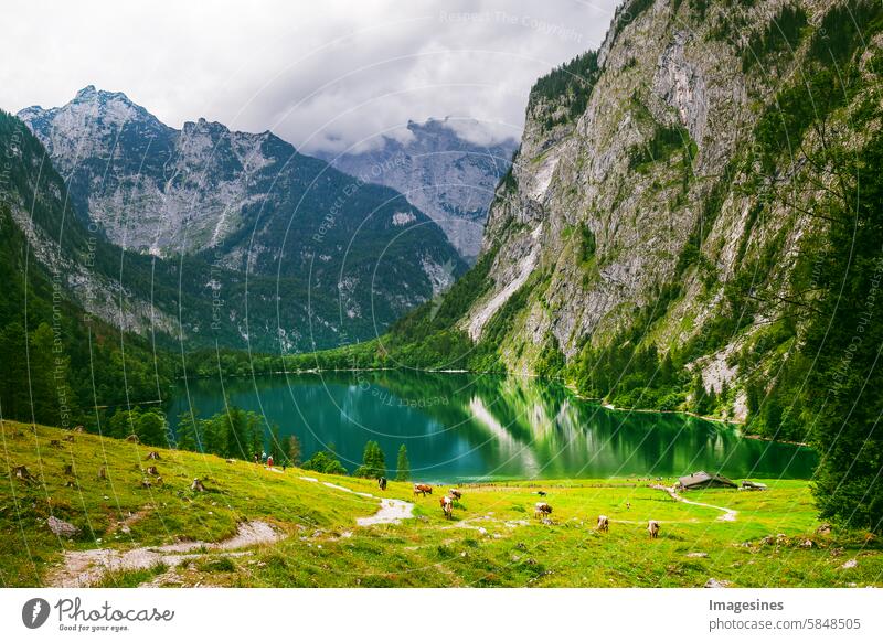 Destination Königssee Obersee. Hiking in the mountains. Landscape scenery. Berchtesgadener Land, Bavaria, Germany destination Lake Königssee Lake Obersee