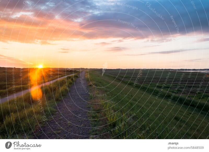 The beginning of the end of the day Amrum Northern Germany Freedom Calm Environment tawdry Sky Evening Meadow Landscape Contentment To enjoy Beautiful weather